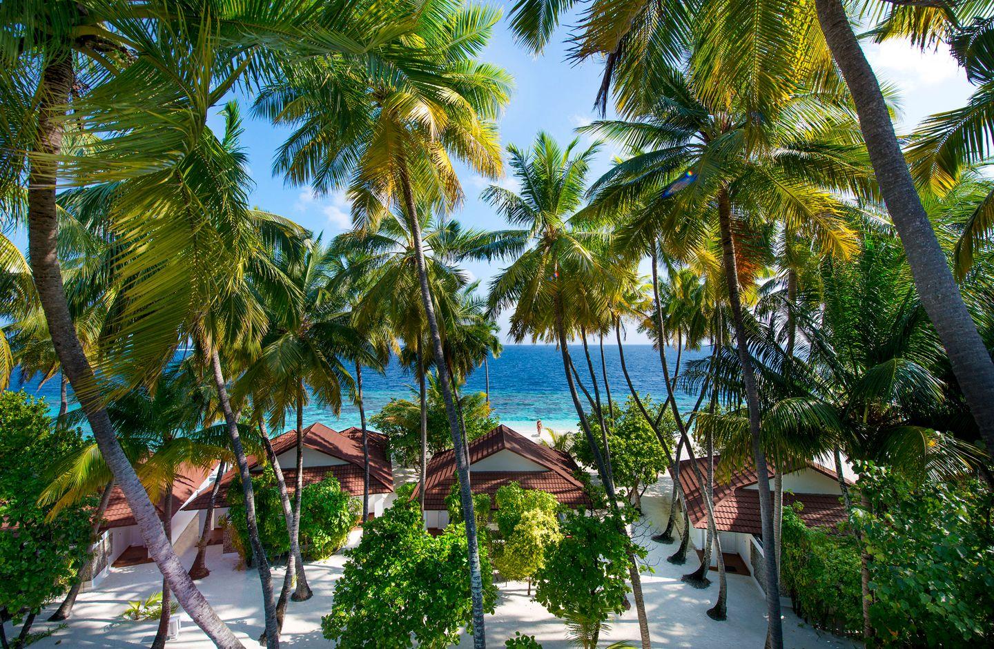 Beach Front Bungalow