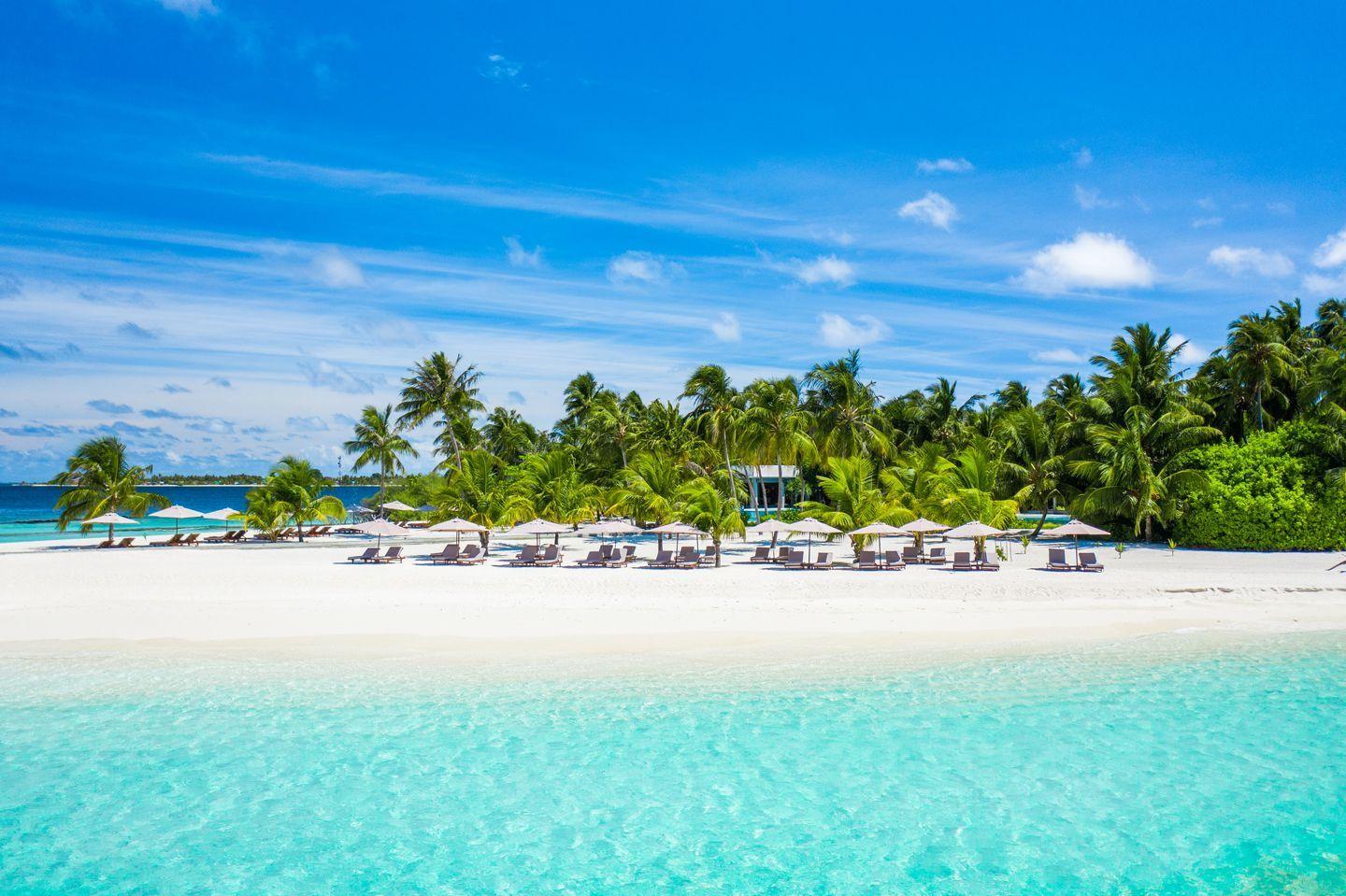 Beach of a resort in the Maldives