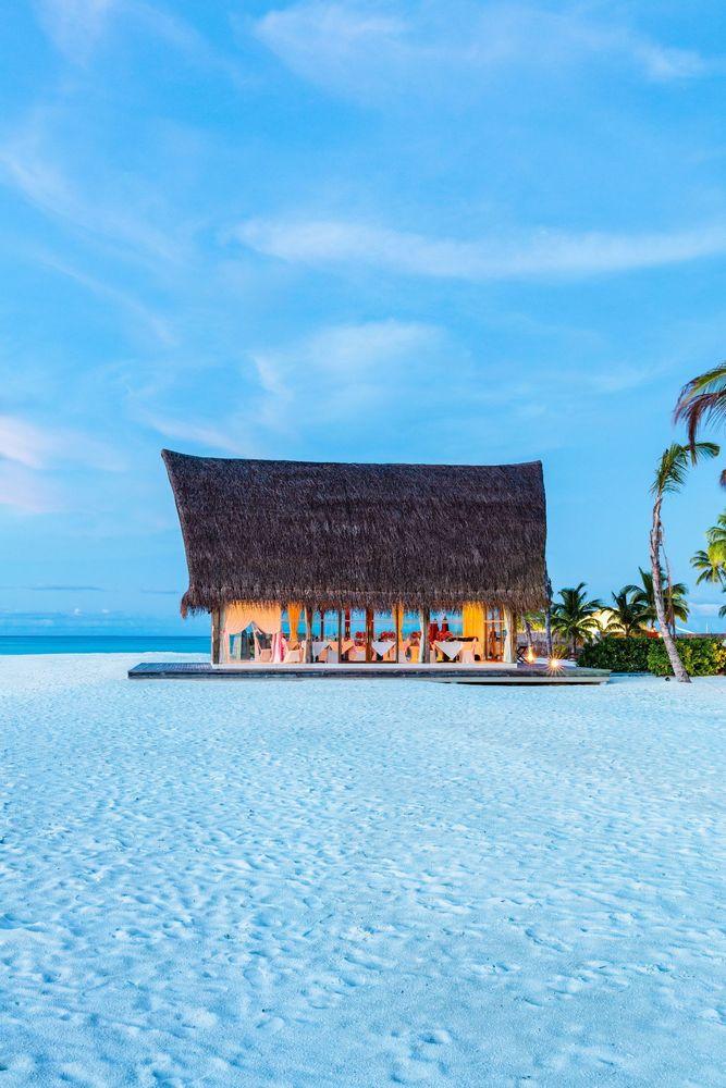 Weddings and Honeymoons