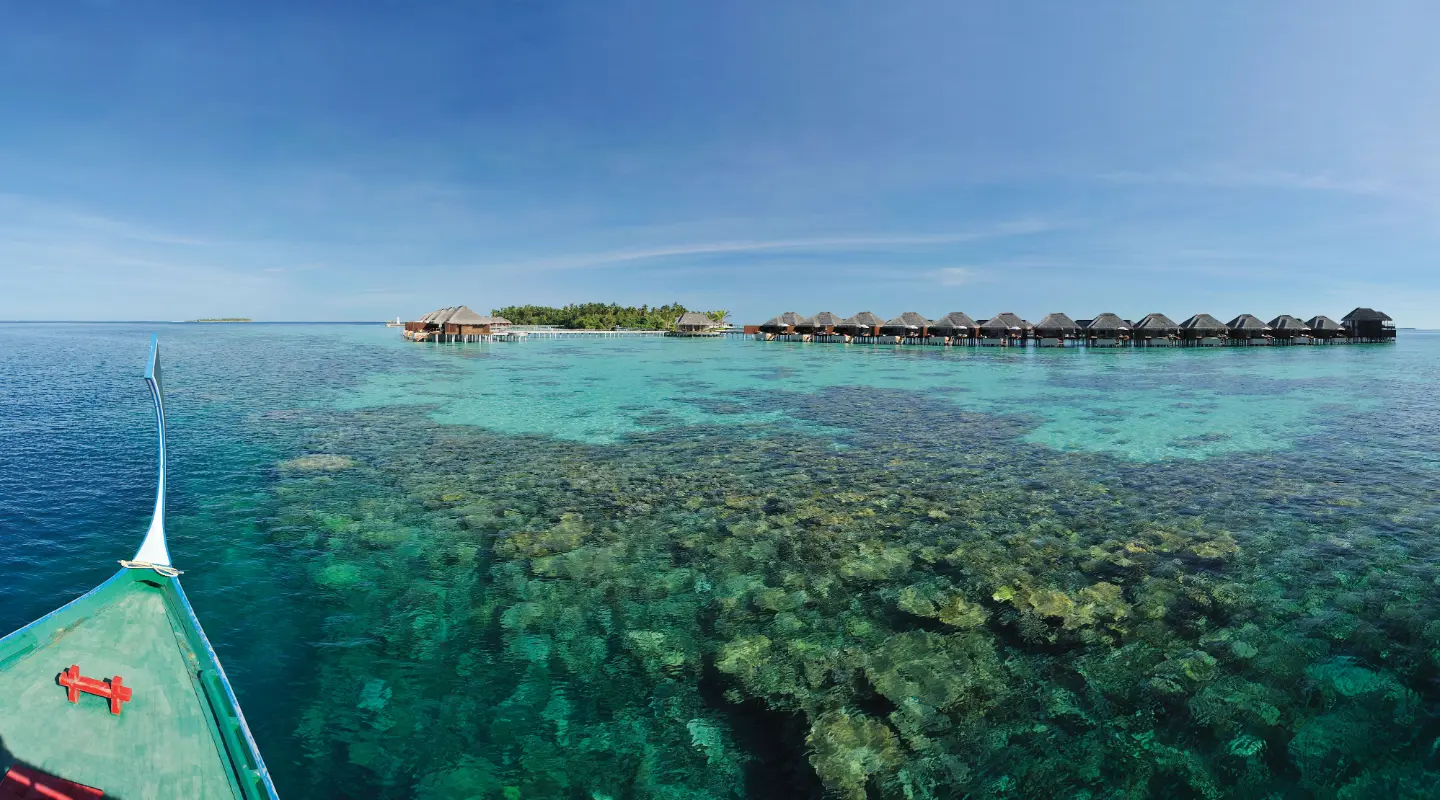 Ayada-Maldives-Resort-Mood-Reef.webp