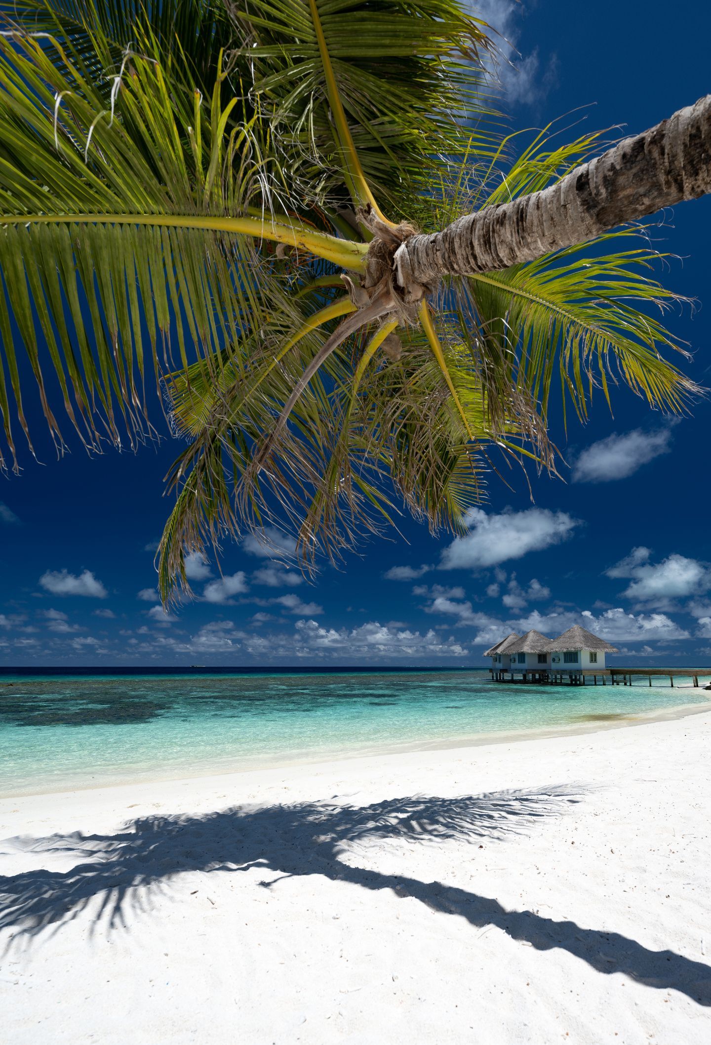 Cora Cora Maldives - Resort - Scenery - Mood 25.jpg