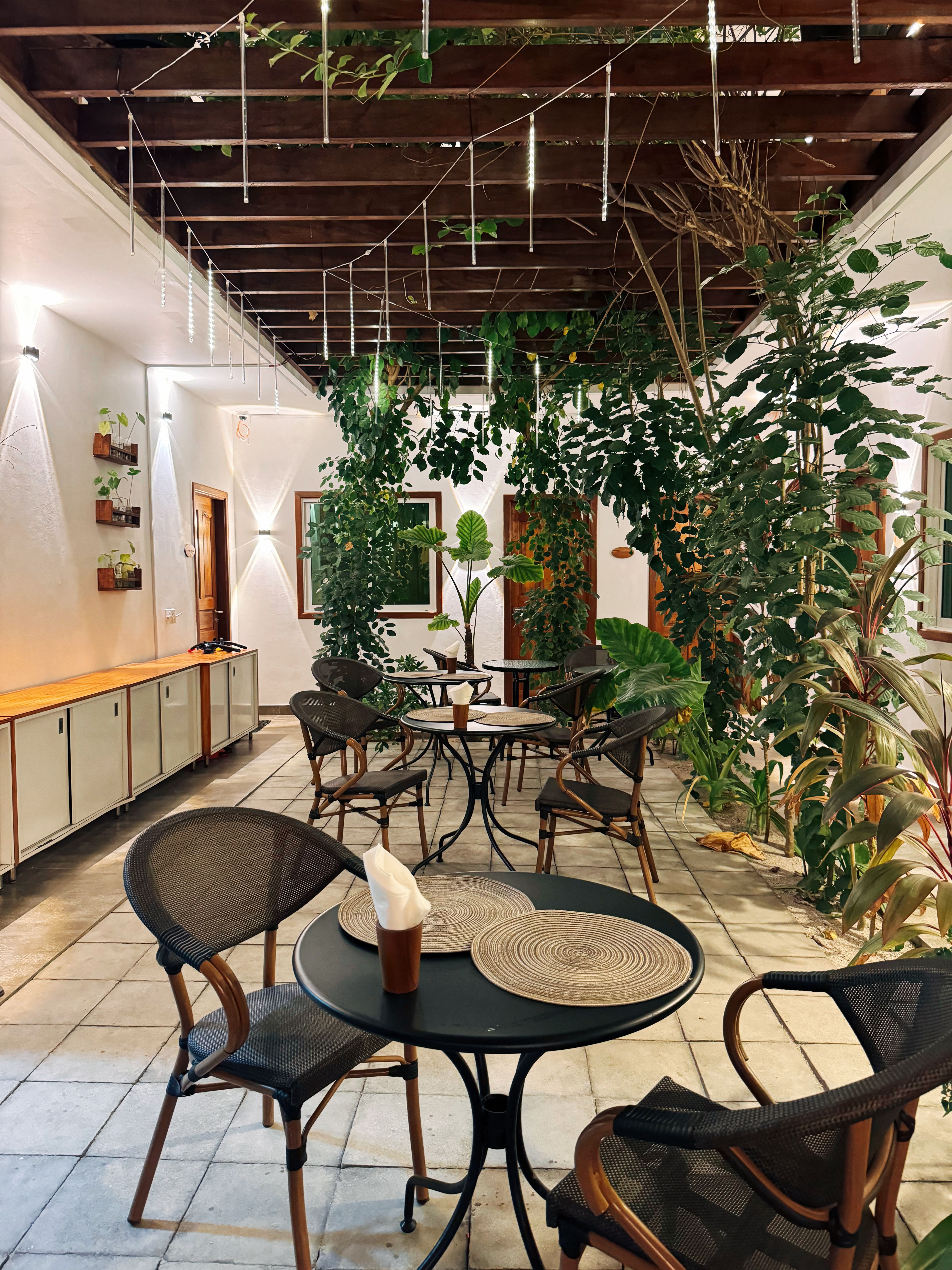 A table, chairs, and tree at the restaurant of Nihaali Maldives