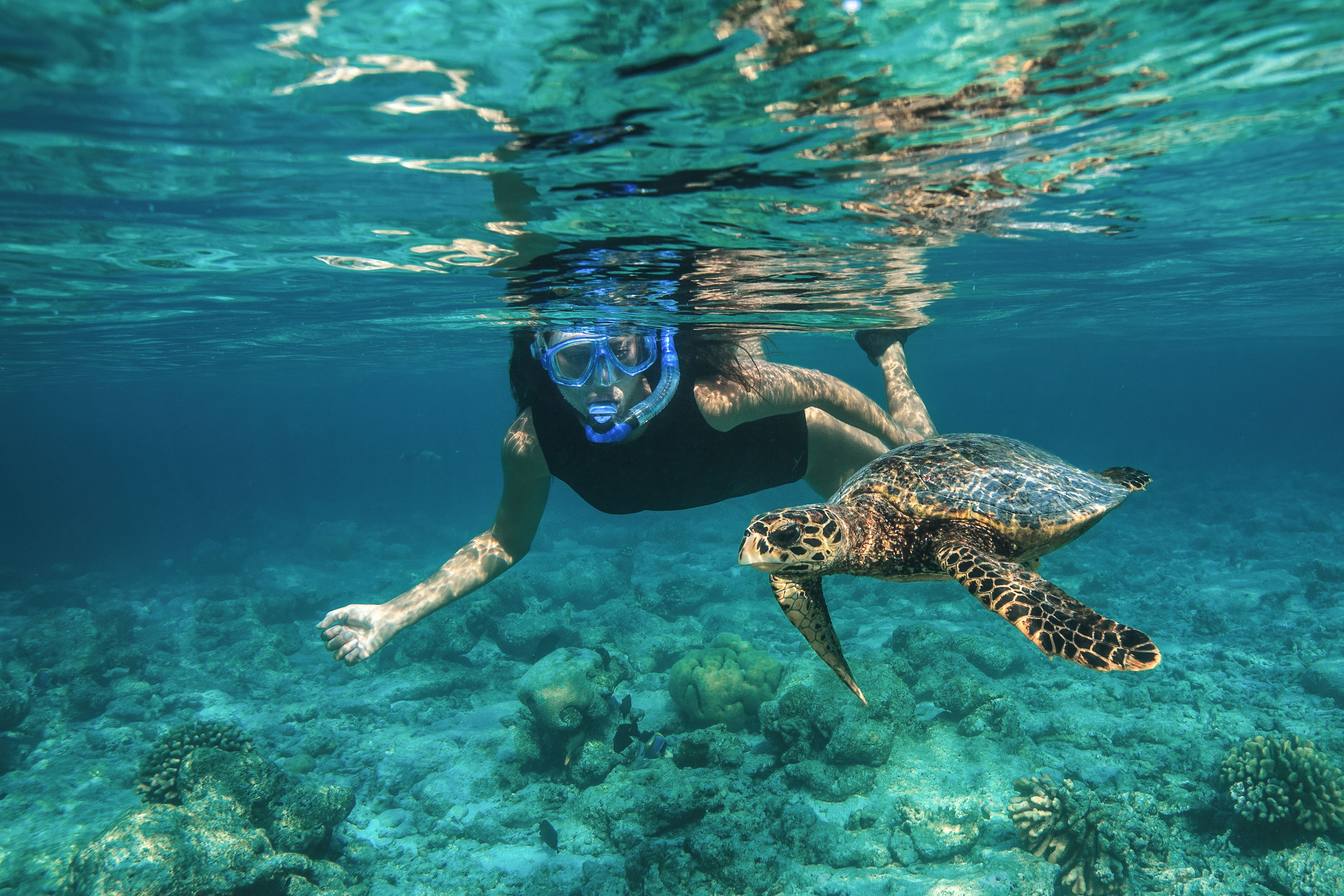 Baros Maldives_Underwater_Lifestyle (13).jpg